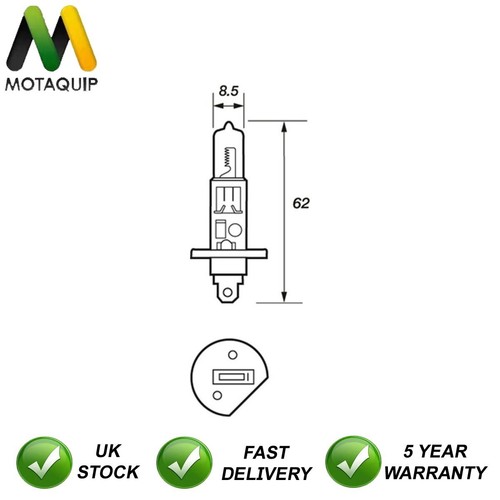 Bulbs manual front motaquip - bulbs,