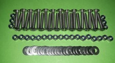 Stainless mushroom - stainless,