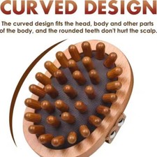 Lymphatic Drainage Abdomen