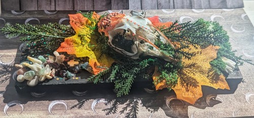 Bone taxidermy art - taxidermy,