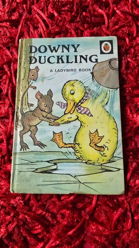 Downy duckling ladybird - downy,