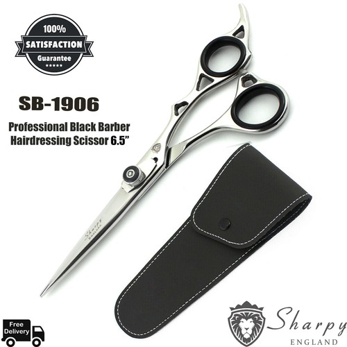 Hairdressing scissors salon - scissors,