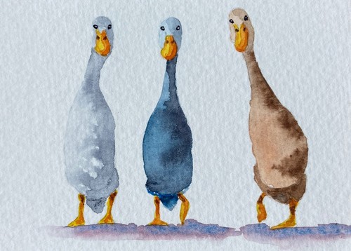 Original watercolour runner - original,