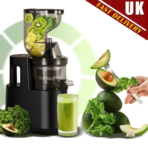 Cold press slow juicer - press,