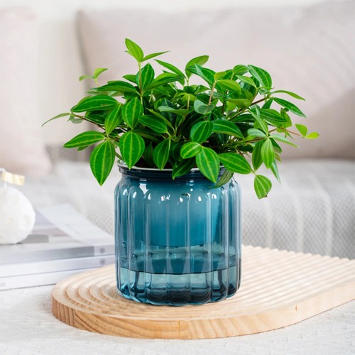 Elegant self watering planter - self-watering,