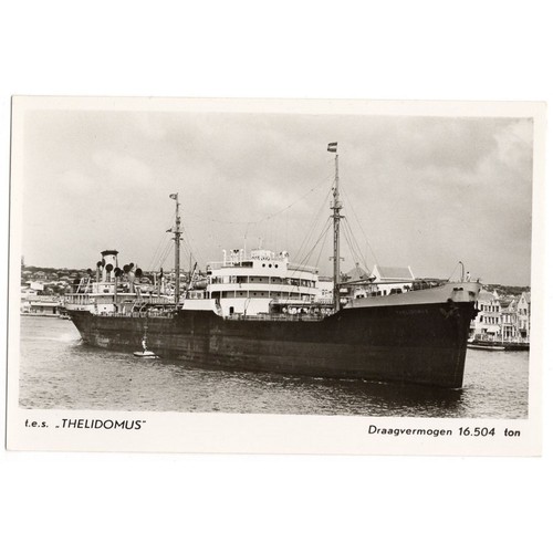 Thelidomus shell oil - t.e.s,