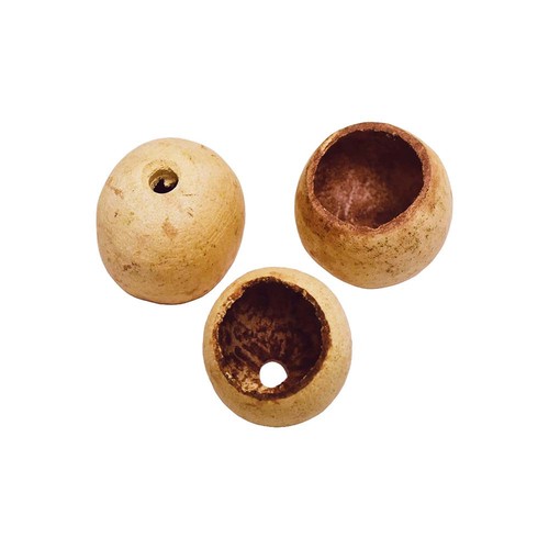 Wood apple bell - bell, parrot