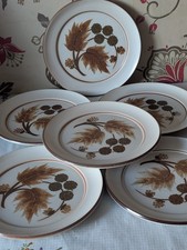 denby cotswold dinner plates X 6(25 cm)