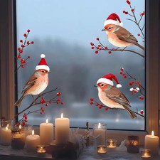 Three Birds in Santa Hats