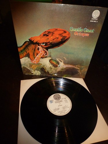 Gentle giant octopus - giant,