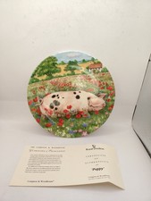 Royal Doulton Pigs In Bloom 'Poppy' Decorative Plate With Certificate
