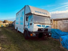 7.5 Horse Box For Sale