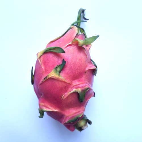 Dragon fruit - dragon,