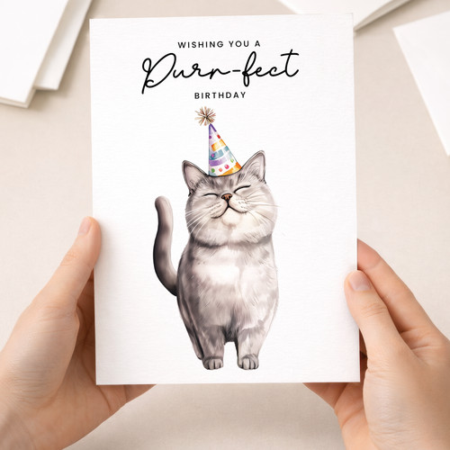British shorthair cat birthday - british,