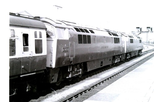 Class 52 western - class,