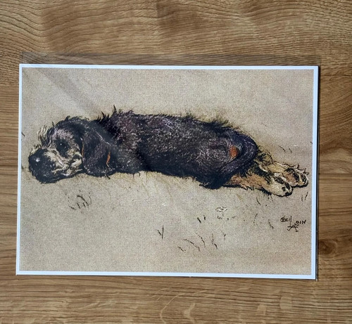 Cecil aldin white mongrel dog - aldin,