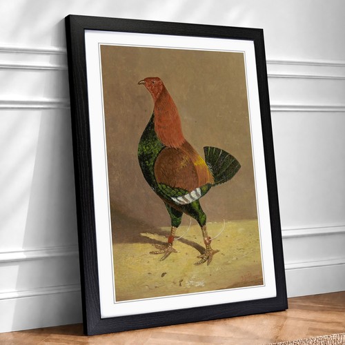 Fighting cock vol john - cock, vol.1