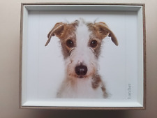 Dog Portrait print 'Lurcher'  FRAMED