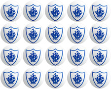 20 x Blue Peter BUTTON PIN