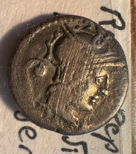 Roman republic denarius 137 - denarius, ~137