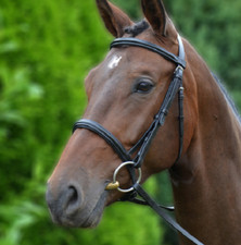 Hy Equestrian Padded Cavesson