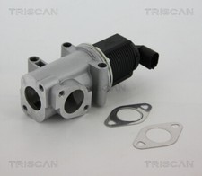 TRISCAN 8813 10015 EGR Valve