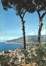 Sorrento Campania Pinien