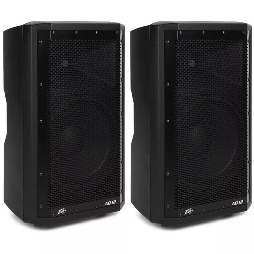 Peavey aquarius 12 670w - 2,