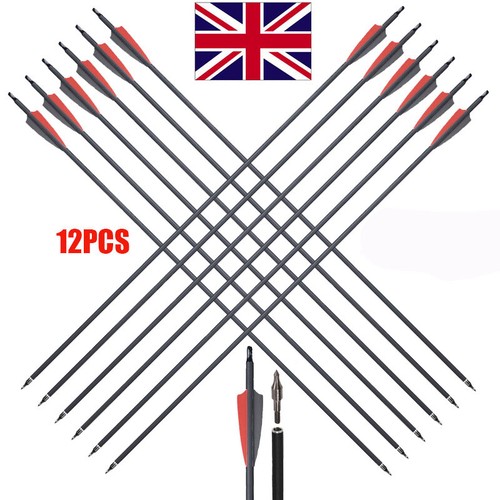 12x archery carbon arrows - archery,