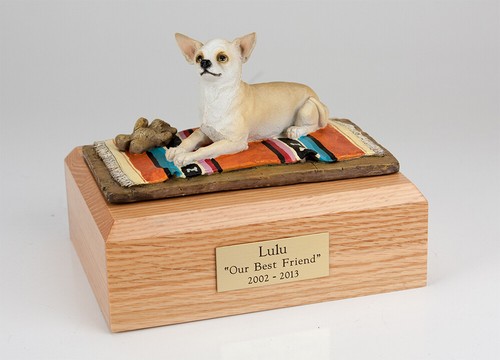 Chihuahua laying pet - chihuahua,,