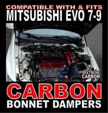 Carbon Bonnet Dampers Lifters