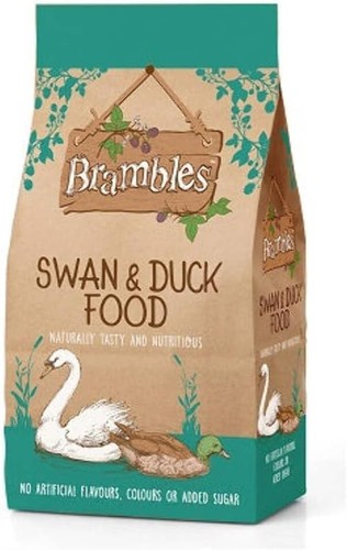 Brambles floating swan duck - swan,