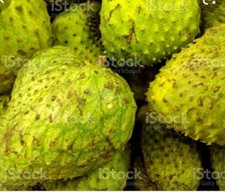 Fresh Soursop (Graviola) Exotic Fruit *Uk seller *free and fast delivery