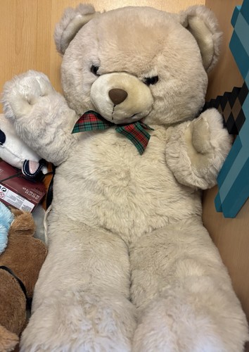 Large teddy bear soft - bear, toy
