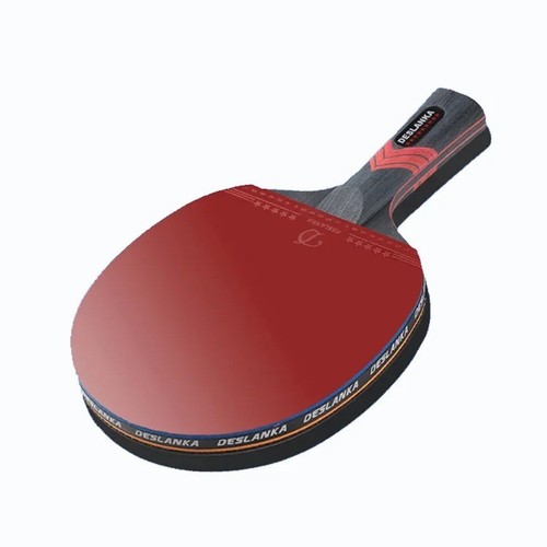 Professional table tennis - professional,