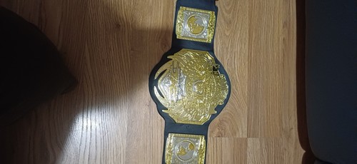 2010 tna world heavyweight - world,