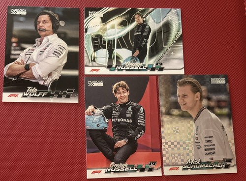 Paddock pass 2024 mercedes - pass,