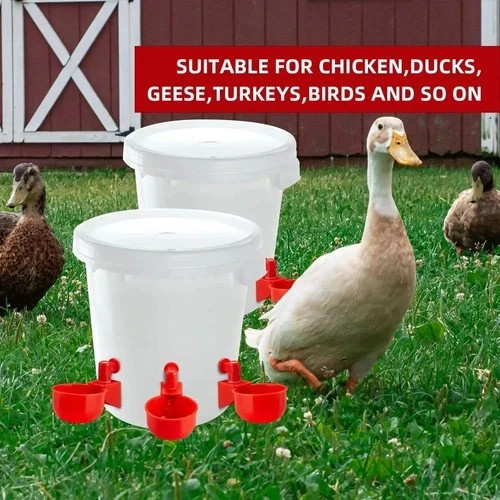 Automatic chicken water cup - automatic,