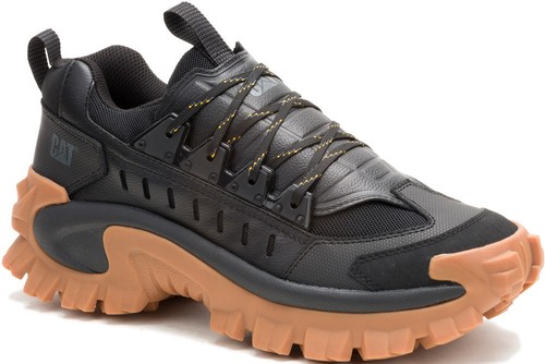 Caterpillar cat intruder - cat,