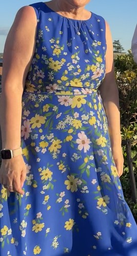 Hobbs petite blue floral - petite,