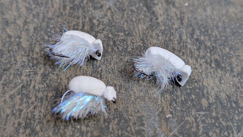 Urban carp zigs white - carp, bait