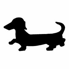 Sausage dog  Dachshund