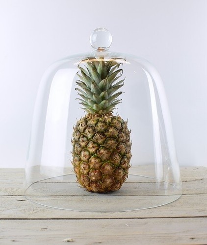 Glass dome display - dome, handmade