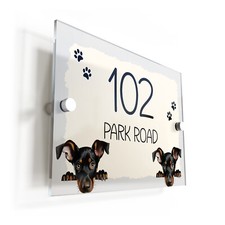 Doberman Pinscher Dog Puppy