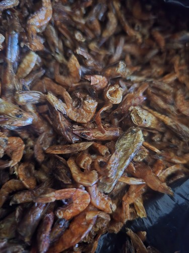 Fresh dried neat - dried, tasty