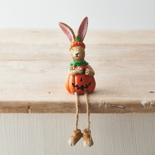 Jasper rabbit pumpkin - jasper, shelf