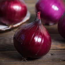 Onion seeds huge selection - onion,