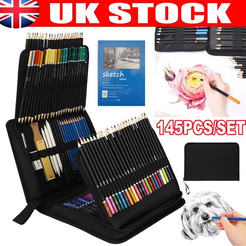 Artist professional sketching - artist,