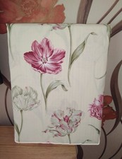 New Sanderson Exclusive Tulips