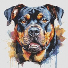 American Bully Puppy Dog